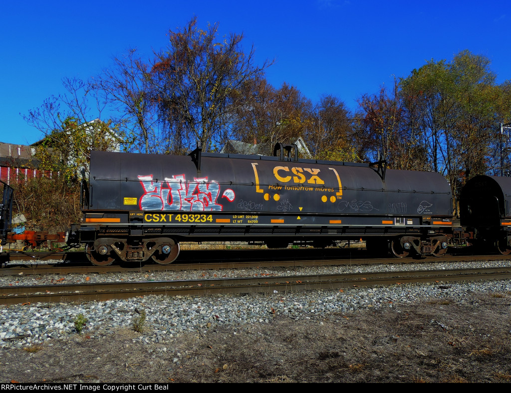 CSX 493234